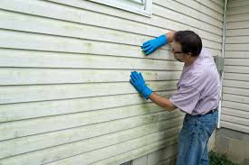 Best Siding Maintenance  in Roswell, GA